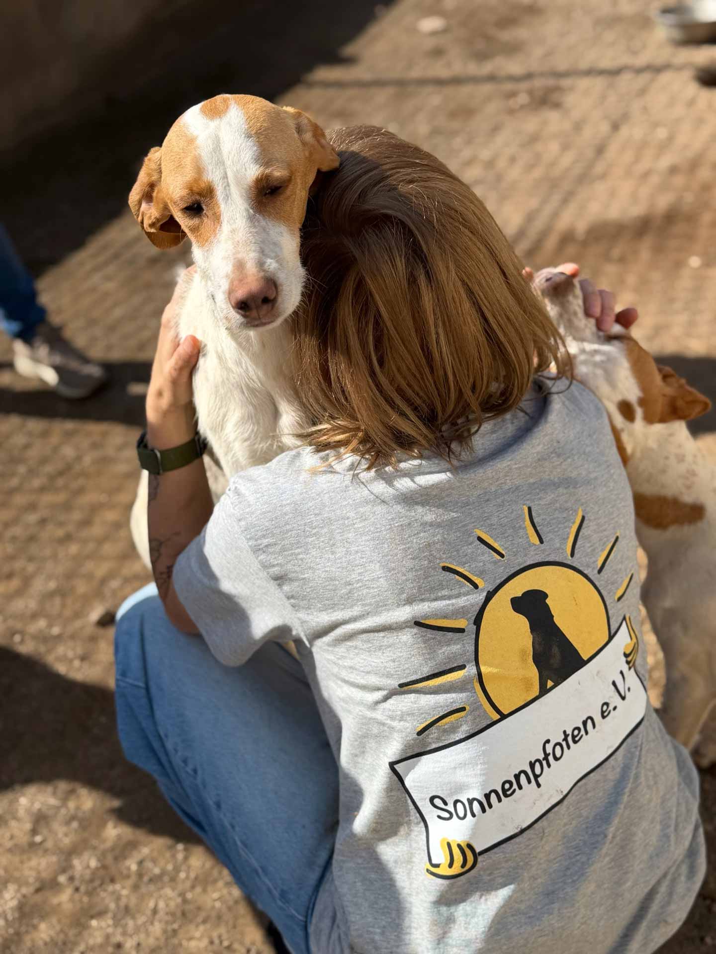 Mitarbeiterin des Tierschutzverein Sonnenpfoten hält einen Hund im spanischen Tierheim im Arm