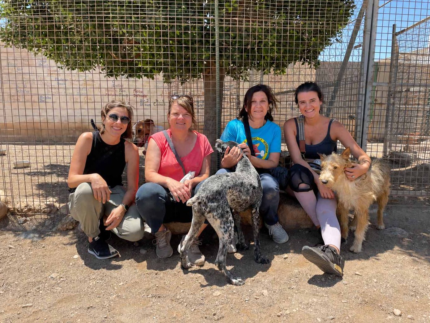 Team des Tierschutzverein Sonnenpfoten bei einem Besuch im Tierheim in Spanien mit mehreren Hunden